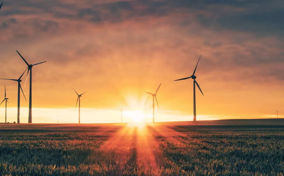 Sustainability in Construction Case Studies