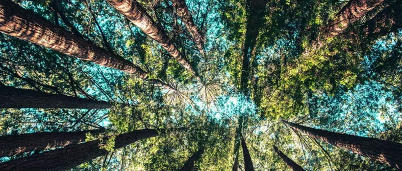 Our Approach to Sustainability in Construction