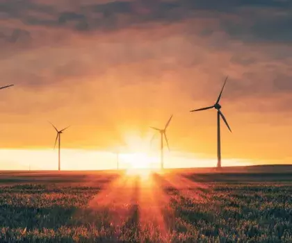 Sustainability in Construction Case Studies