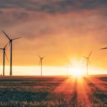 Sustainability