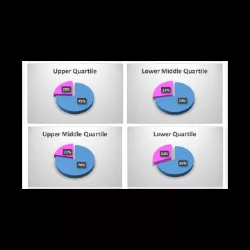 Algeco Quartiles Gender Pay Gap 2024