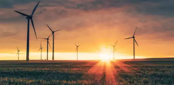 Sustainability