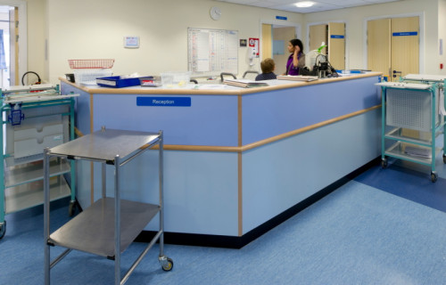 Temporary Hospital and Clinic
