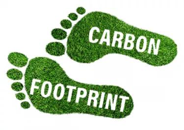 Carbon footprint